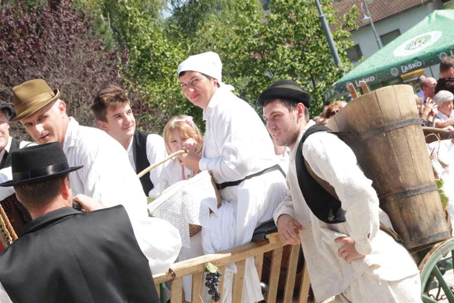 Branje grojzdja 2.JPG