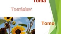 [NJIHOV JE DAN] Imendan slave Tomislav, Toma i Tomo