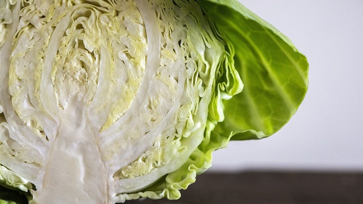 white-4276765_1280-e1732264660189 (1).jpg