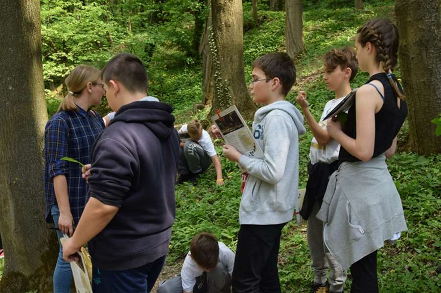 glavna hušnjakovo.JPG