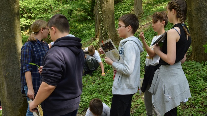 glavna hušnjakovo.JPG