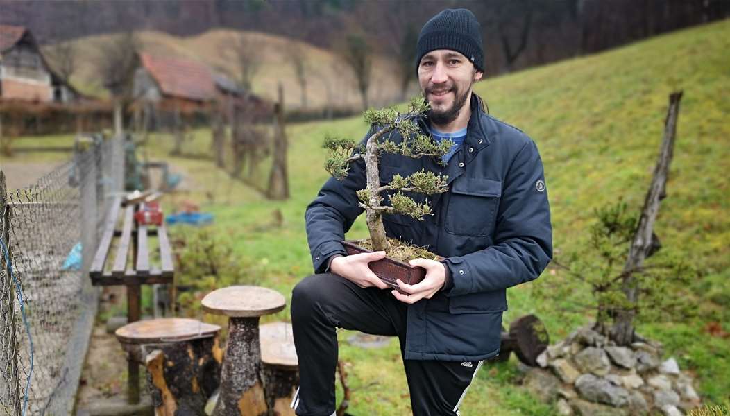-bonsai