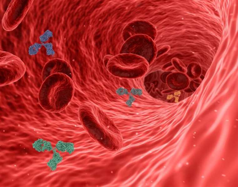 1725107235-virus-5741636_1920-750x592.jpg