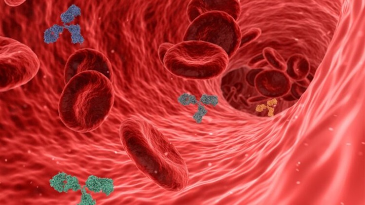 1725107235-virus-5741636_1920-750x592.jpg