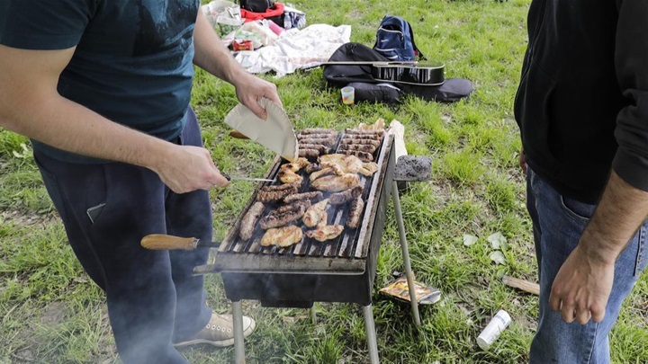 roštilj roštiljanje