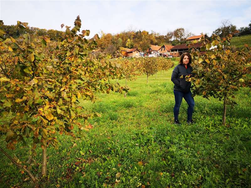 Božica Šoštarko na plantaži.jpg