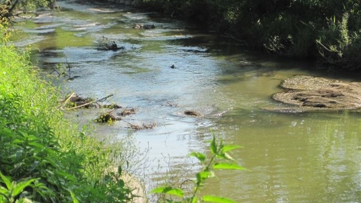 sutla slika javna ustanova.JPG
