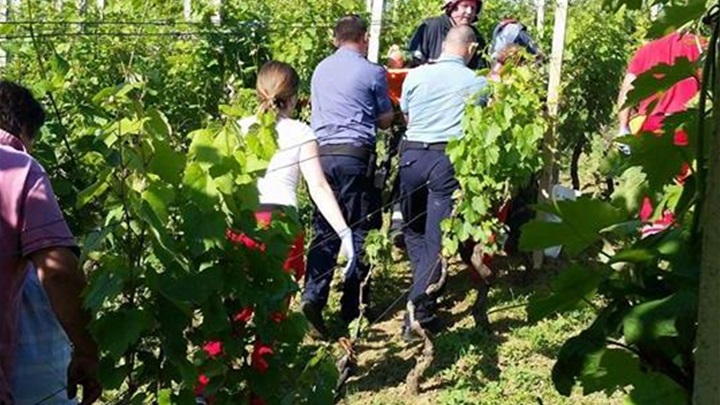 vatrogasci i žema.jpg