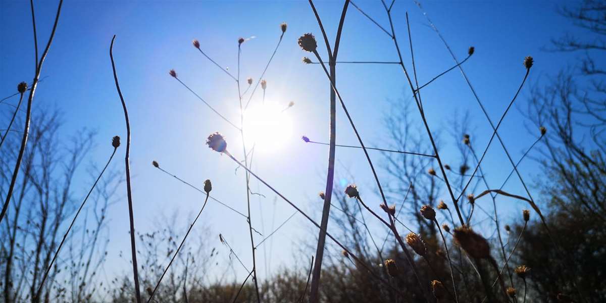 vrijeme proljeće sunce.jpg