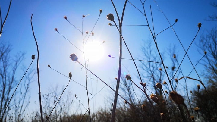 vrijeme proljeće sunce.jpg