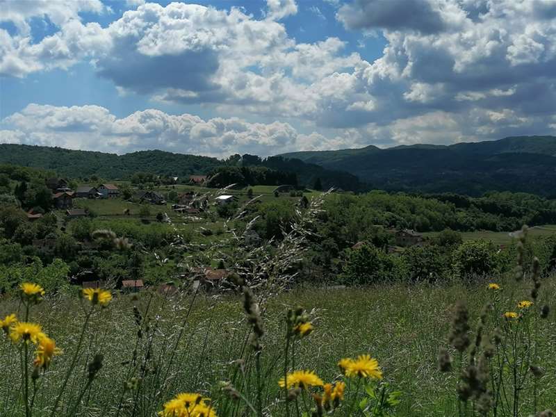 prognoza ljeto sunce