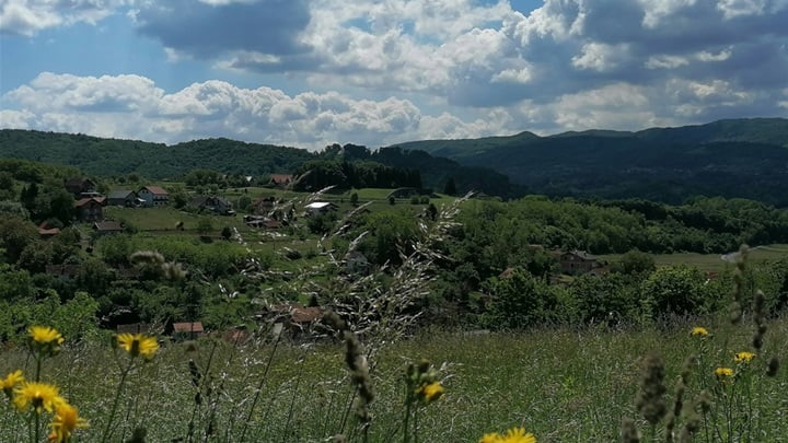 prognoza ljeto sunce