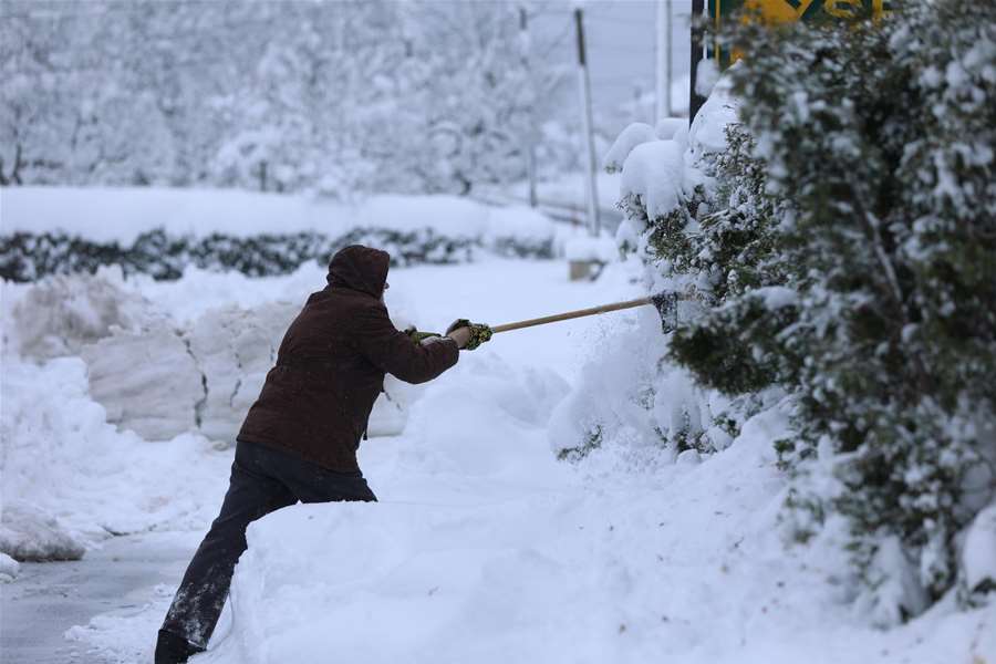 snježna mećava.jpg