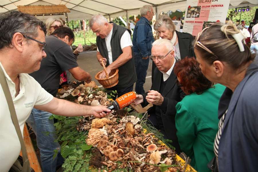 determinacija gljiva