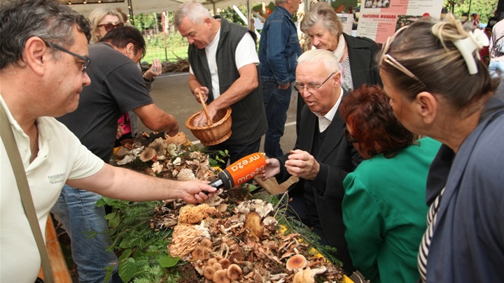 determinacija gljiva