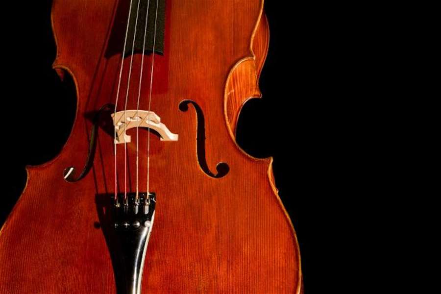 violončelo