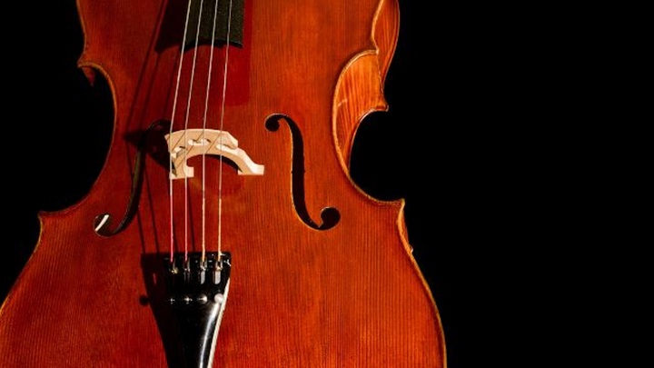violončelo
