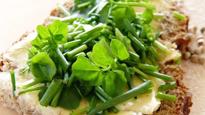 watercress-2148629_1280-e1746688291747 (1).jpg