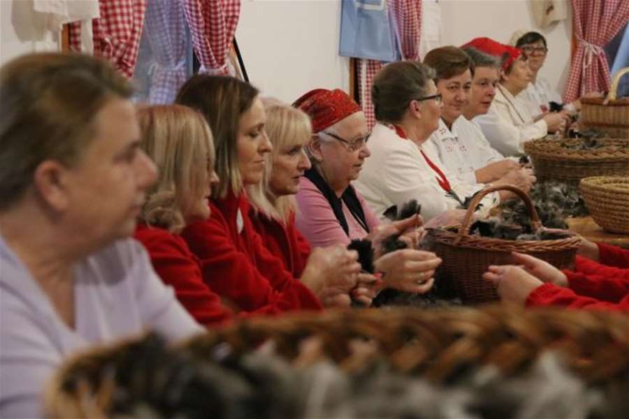 čehanje perja.jpg