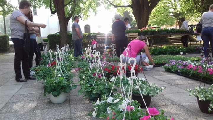 sajam cvijeća 4.jpg