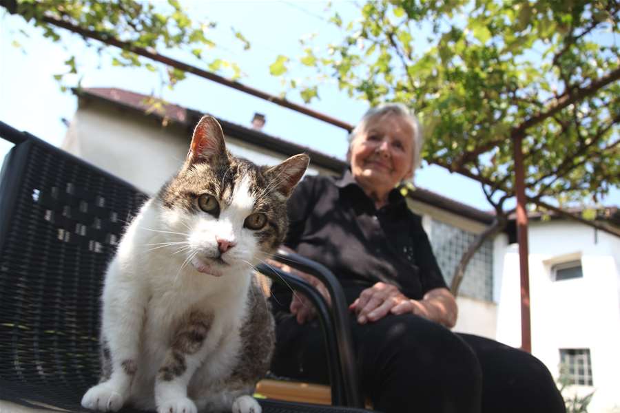 baka i mačka (3).jpg