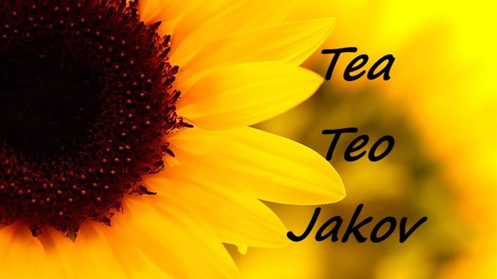 imendan tea teo jakov.JPG