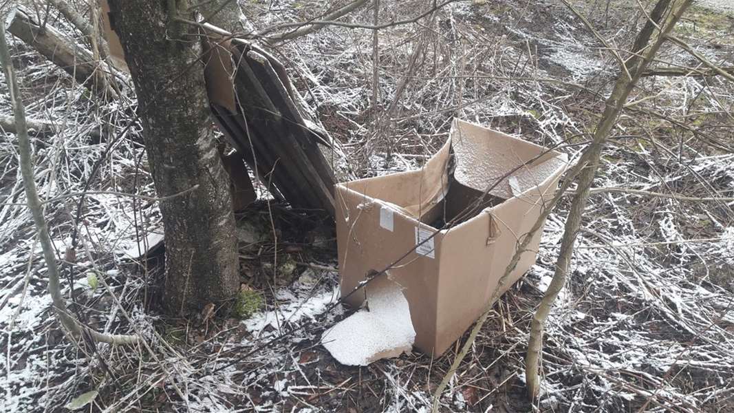 Kartonska kutija u kojoj su bile kokoši