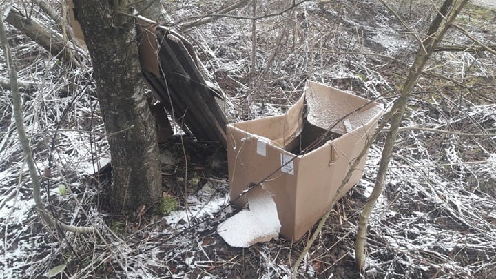 Kartonska kutija u kojoj su bile kokoši