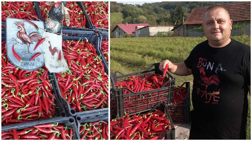 FotoJet - 2023-10-06T112428.409.jpg