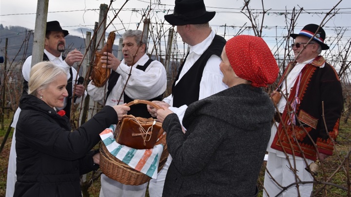 Vincekovo u Globočecu  1.jpg