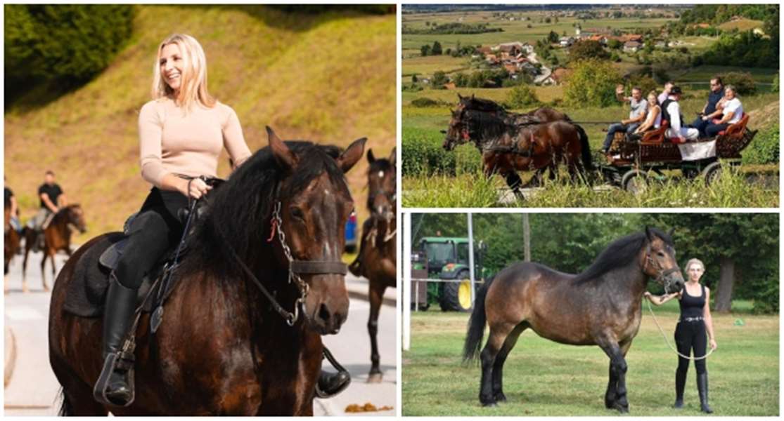 naslovna katarina.jpg