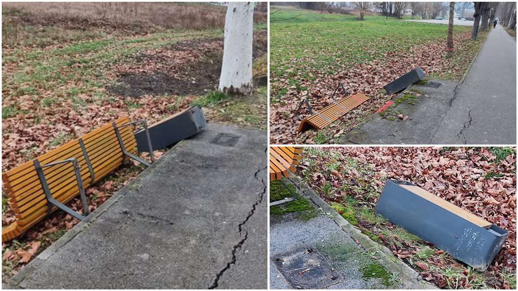 FotoJet - 2024-12-15T201255.904.jpg