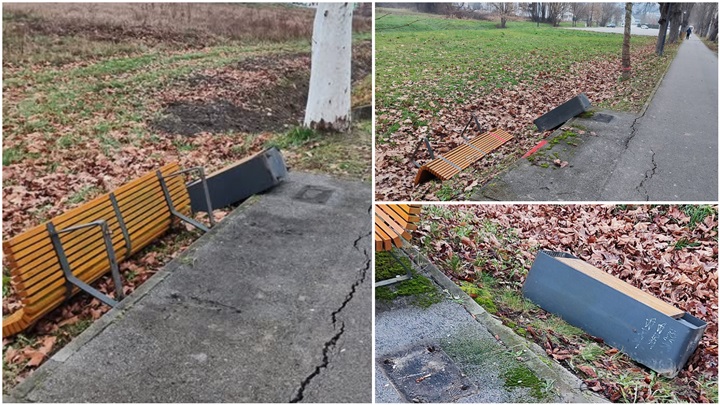 FotoJet - 2024-12-15T201255.904.jpg