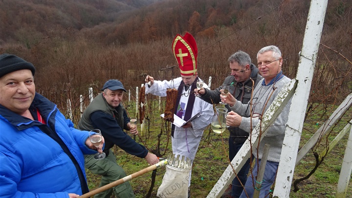 Vincekovo na Rogininu brijegu.JPG