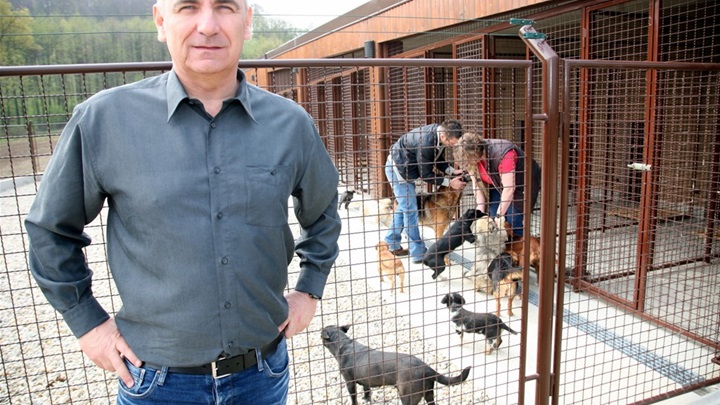 zaštita životinja - jemeršić i azil.jpg