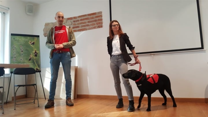 silver psi pomagači radoboj.jpg