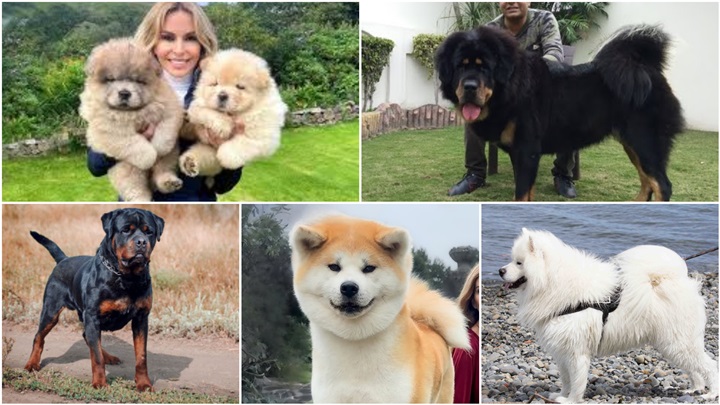 FotoJet - 2024-10-12T213548.716.jpg