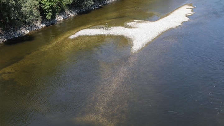 sava ilustracija pixsell Tomislav Miletic .jpg