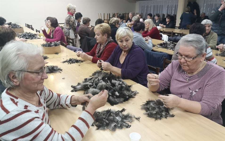 čeheraj 2019 glavna.jpg