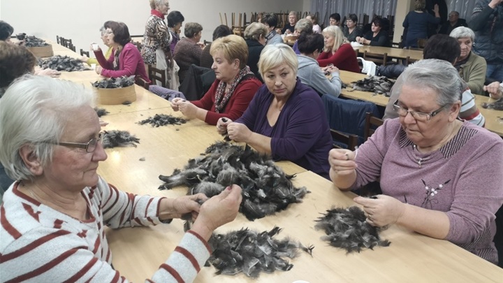 čeheraj 2019 glavna.jpg