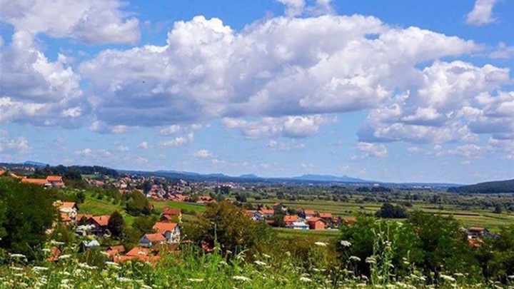 špičkovina.jpg
