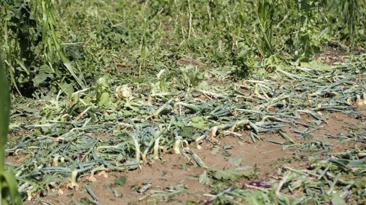 tuča slani potok2.jpg