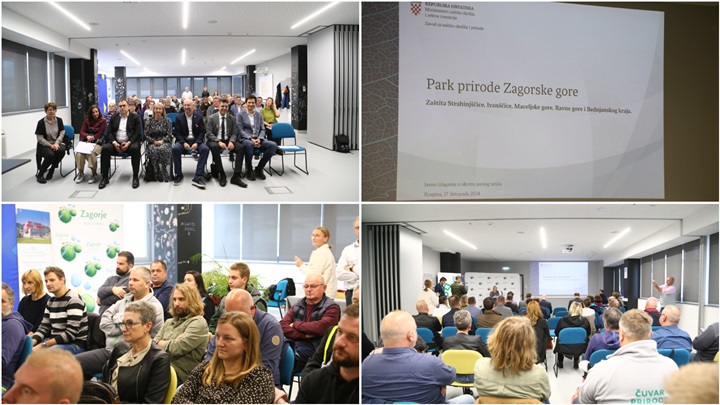 FotoJet - 2024-10-17T124439.561.jpg