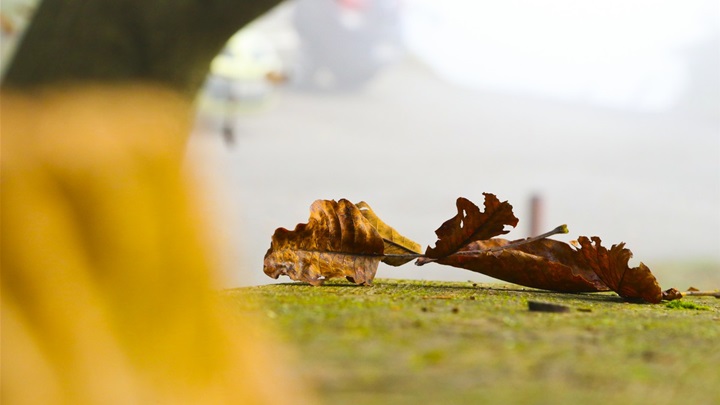 vrijeme jesen (6).jpg