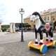 Prijavite se! Općina objavila oglas za prijam u službu Višeg referenta - komunalno-prometnog redara!