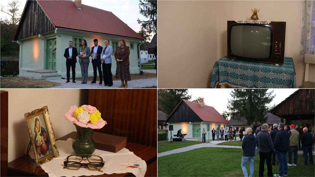 BeFunky-collage - 2025-10-12T160548.417.jpg