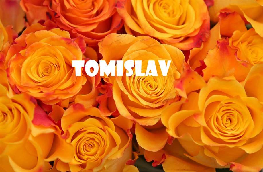 tomislav-