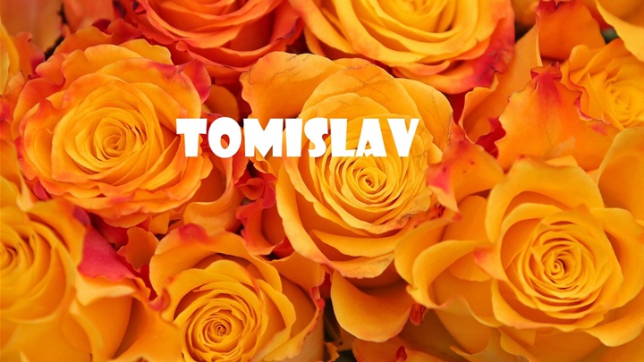tomislav-