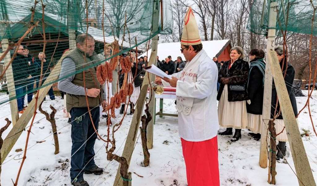Vincekovo na Vinskom Vrhu 1.jpg