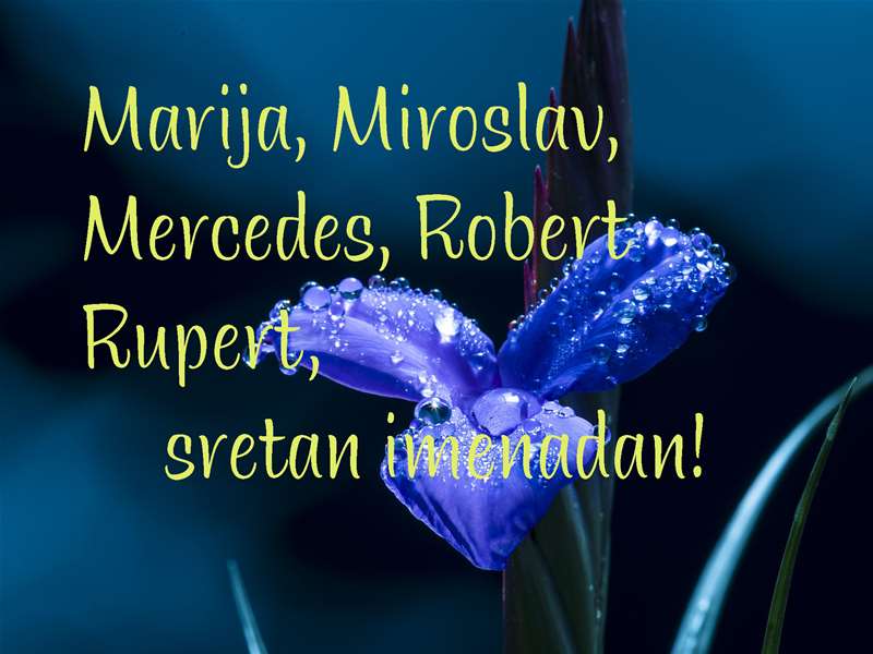-Marija, Mioslav, Robert, mercedes rupert